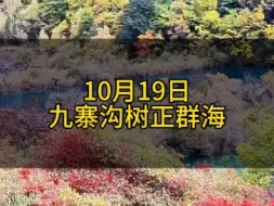 Скачать видео: 10月19日九寨沟实况