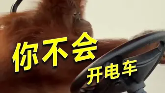 新能源用车技巧 你根本不会开电车