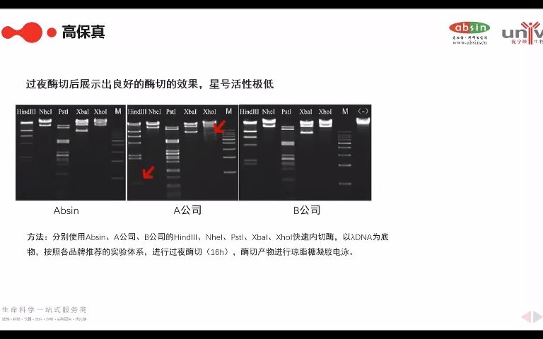 分子克隆大揭秘——限制性内切酶特点哔哩哔哩bilibili