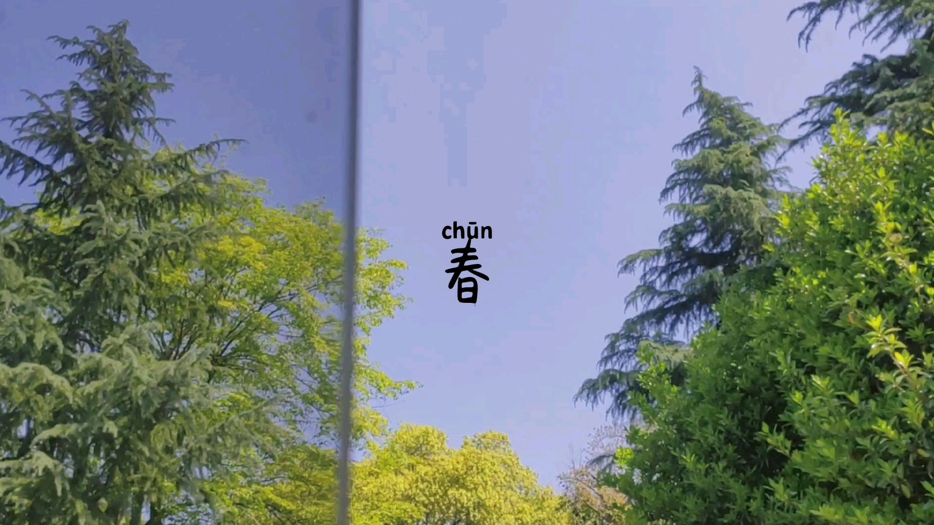 三月莺时云岫成诗