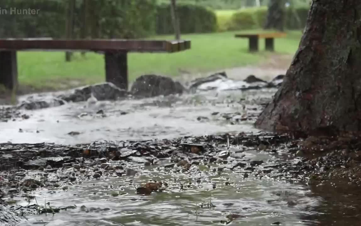 [图]下雨的风景，公园里的雨声，在下雨的声音中心被治愈白色噪音