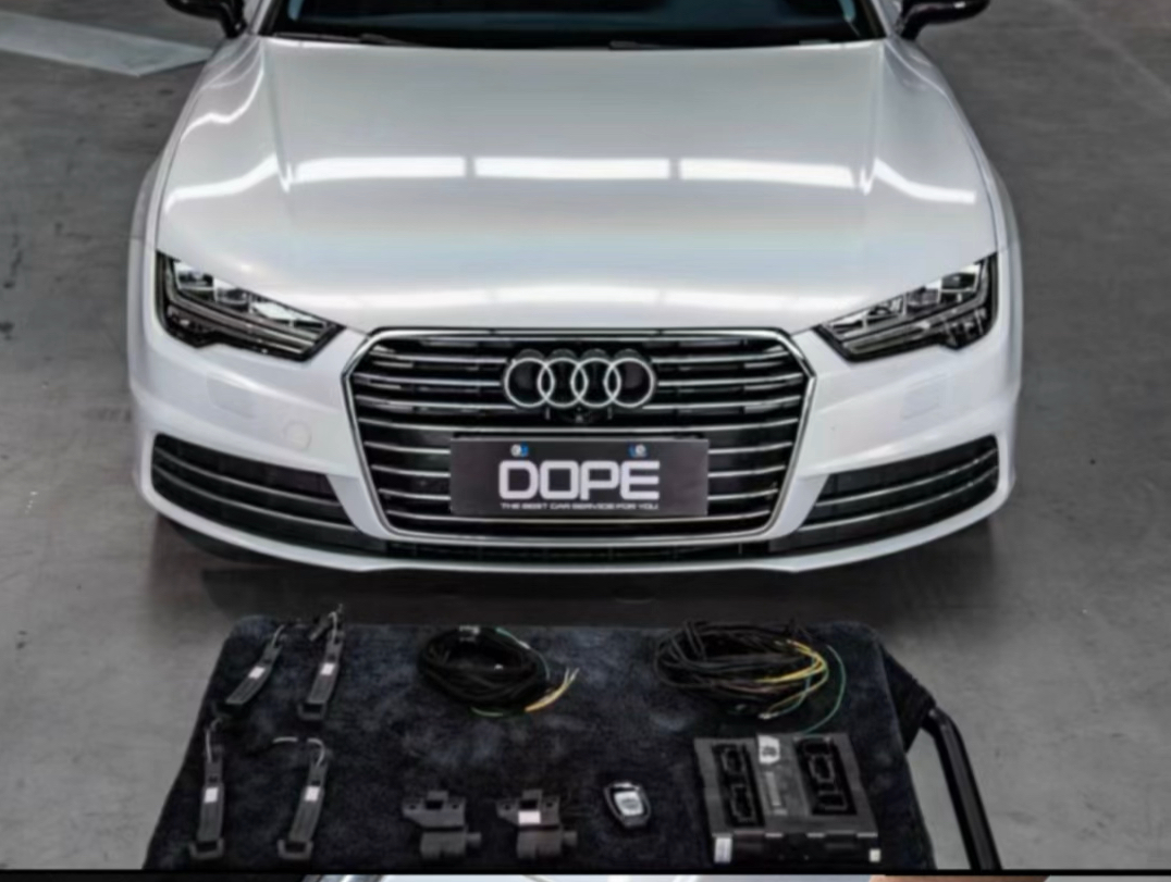 奥迪无钥匙进入.