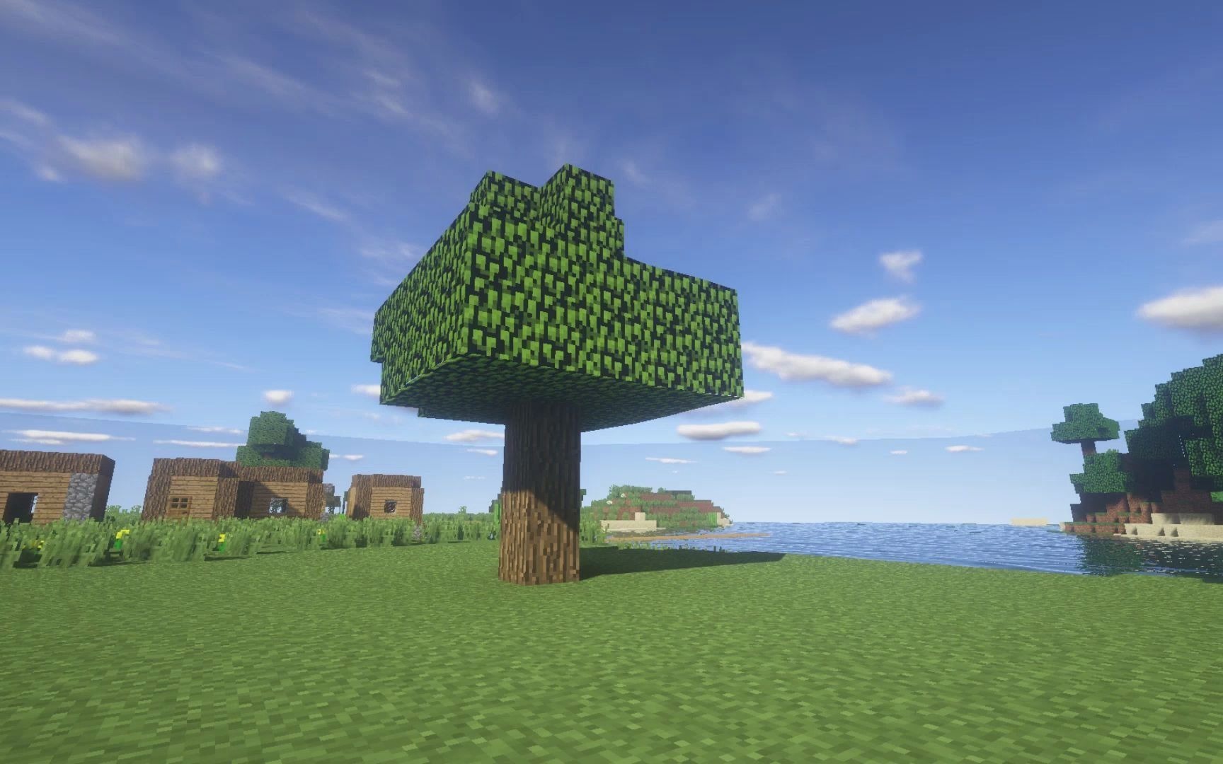 【minecraft】我的世界 树先生的一生