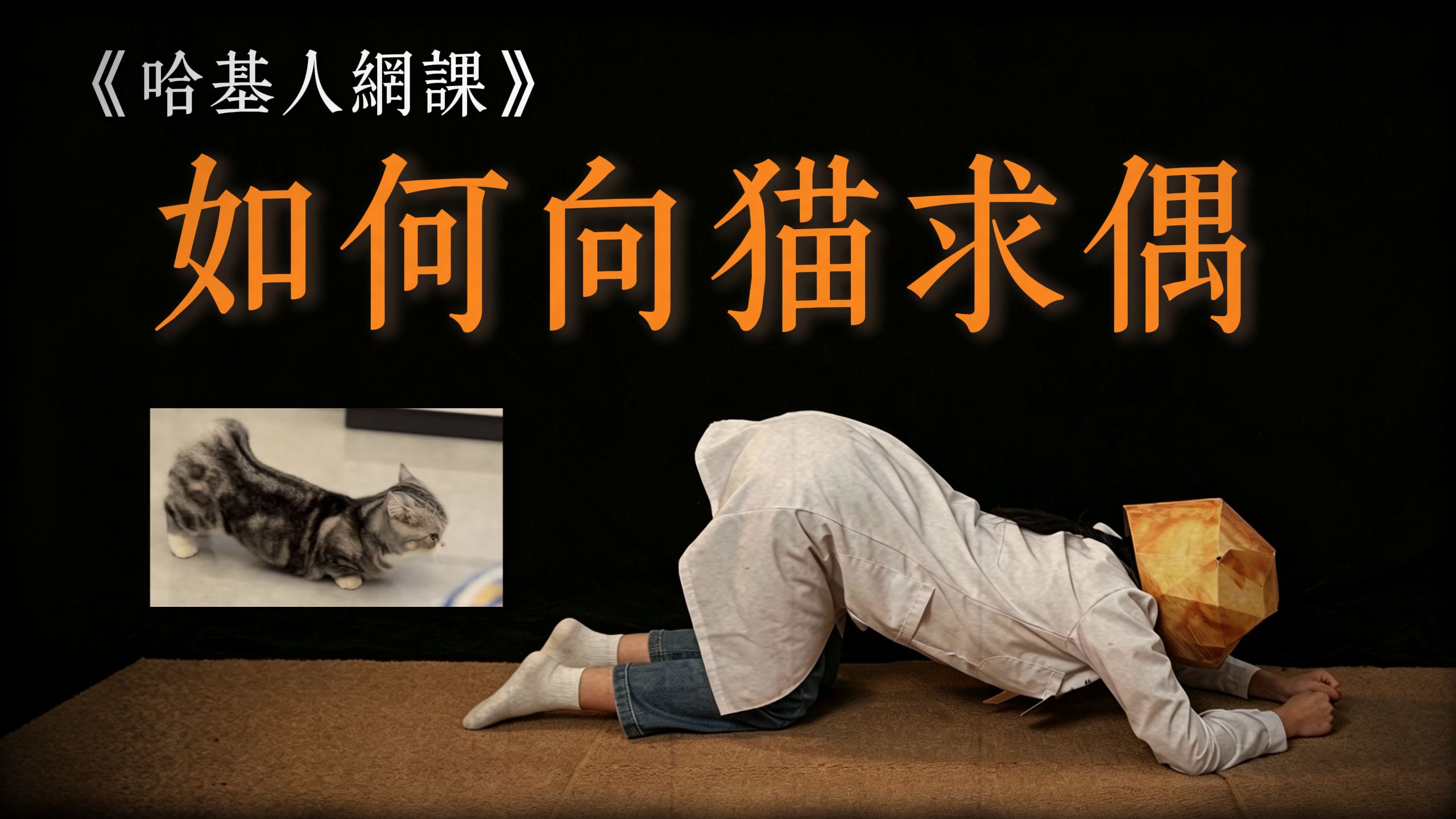 学会之后你就可以像猫一样求偶了