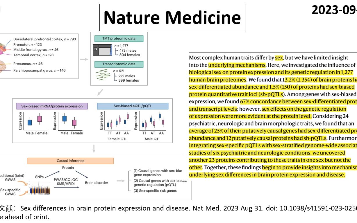 Nature medicine—性别如何影响大脑基因表达和疾病哔哩哔哩bilibili