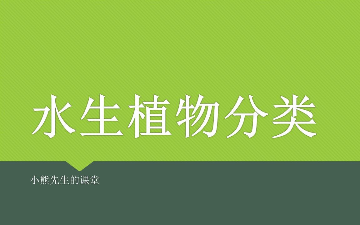 【小熊先生的课堂】【中学生物】水生植物分类哔哩哔哩bilibili