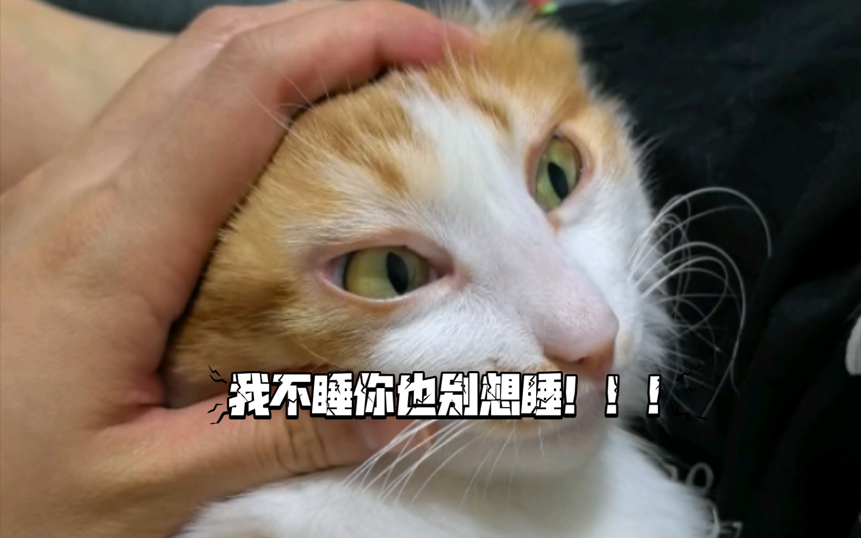 白天睡觉晚上跑酷,我不睡你也别想睡!