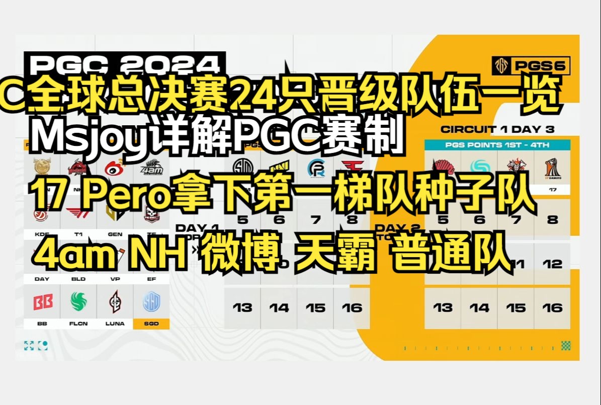 Msjoy详解PGC赛制12月9日开赛!PGC全球总决赛24只晋级队伍一览!17 Pero拿下第一梯队种子队!4am NH 微博 天霸 普通队绝地求生