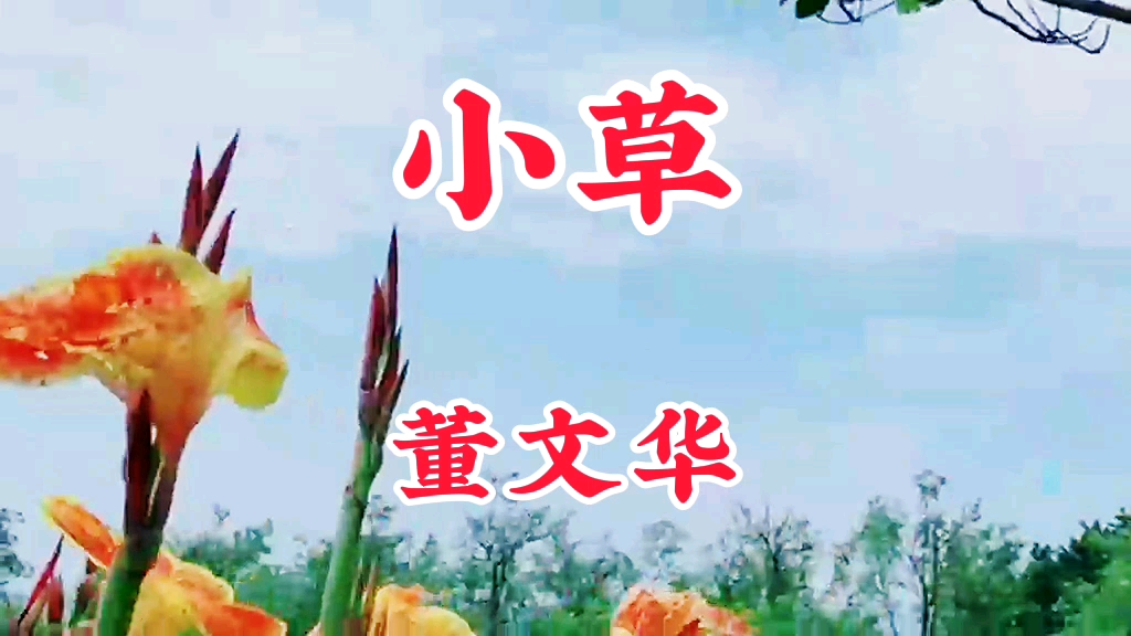 欣一首怀旧老歌曲《小草》演唱者:董文华哔哩哔哩bilibili