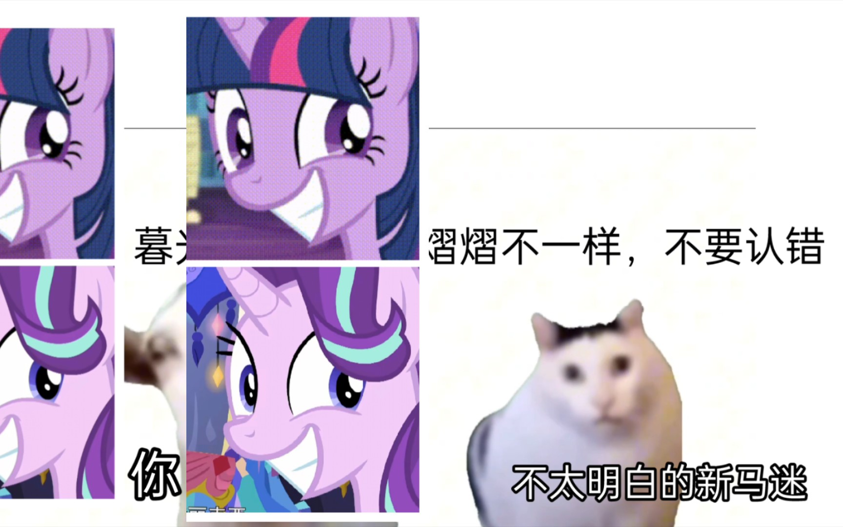 【MLP】当你向马迷解释的时候()哔哩哔哩bilibili