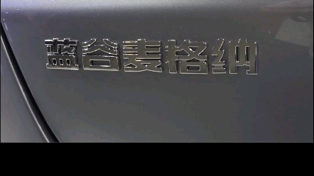 华为和麦格纳参与的国产车,什么样?哔哩哔哩bilibili