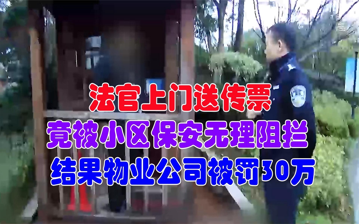 法官上门送传票,竟被小区保安无理阻拦,结果物业公司被罚30万哔哩哔哩bilibili