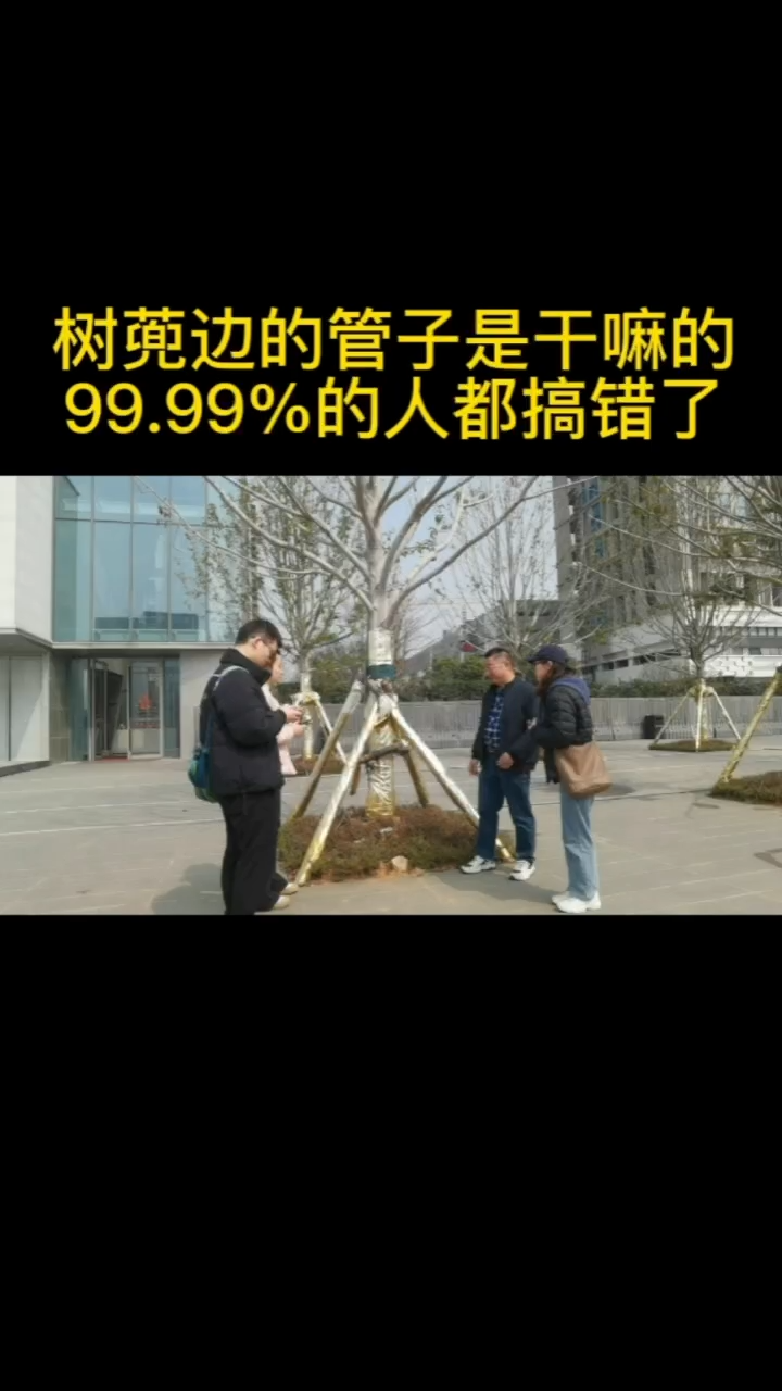 树兜边的管子是干嘛的?99.99%的人都搞错了 #园林养护哔哩哔哩bilibili