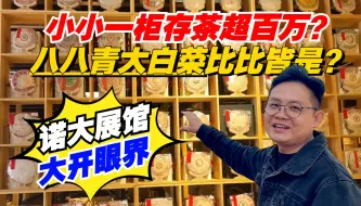 Download Video: 普洱茶：小小一柜存茶超百万？八八青大白菜比比皆是？诺大展馆大开眼界！