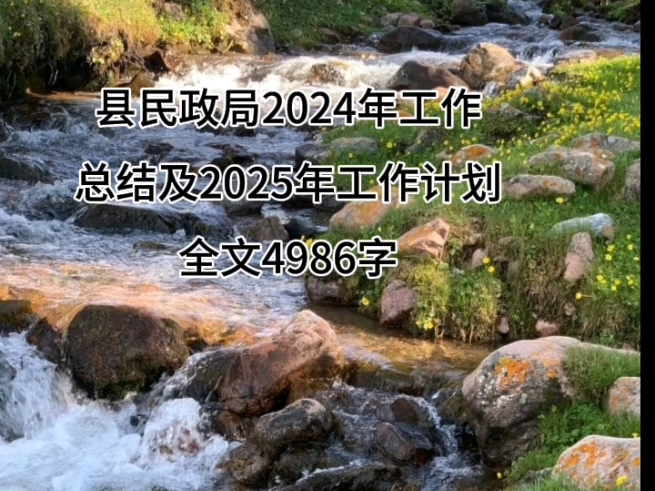 县民政局2024年工作总结及2025年工作计划哔哩哔哩bilibili