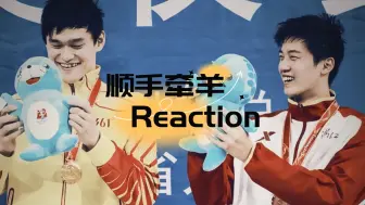 Download Video: 【充电专场reaction】孙杨X汪顺|斯哈斯哈他俩真好看...咳咳真好嗑啊|小狗狗追逐上大前辈的故事|顺手牵羊这个CP名很妙