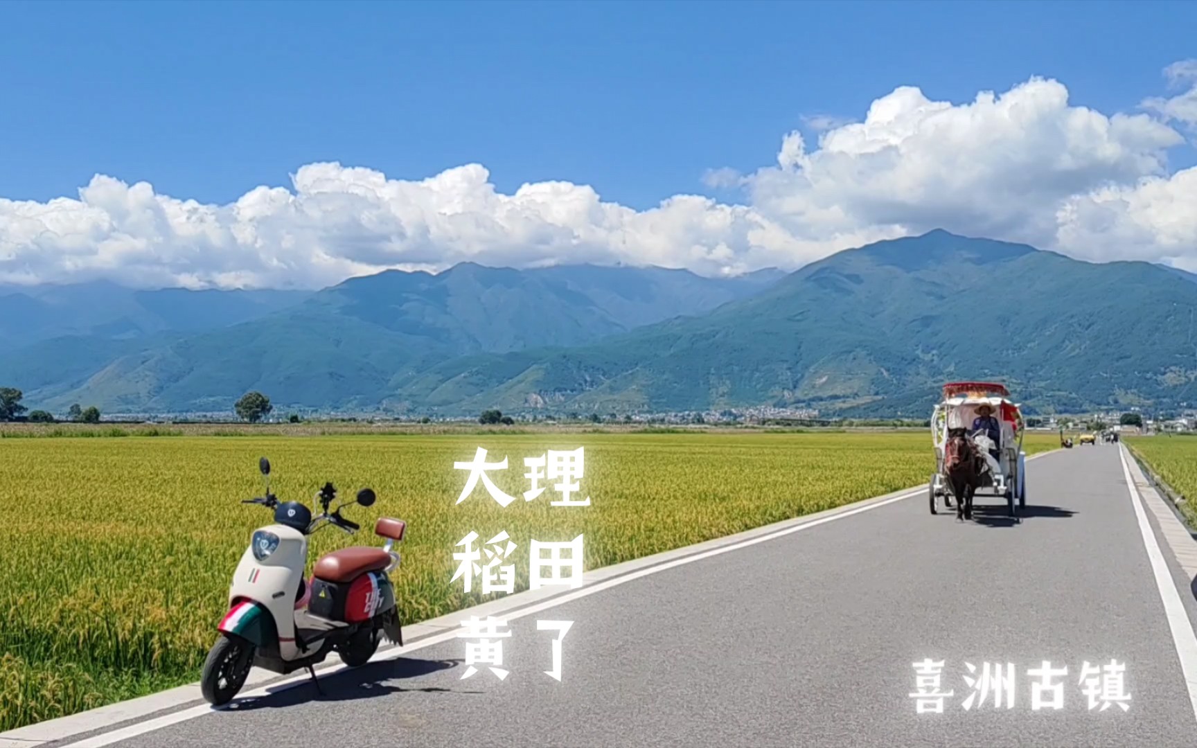 神州租车80元骑行环海能跑300km!哔哩哔哩bilibili