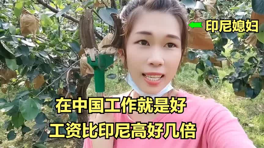 外国女孩嫁到中国农村在果园工作,这工资比老家的工资高好几倍!哔哩哔哩bilibili