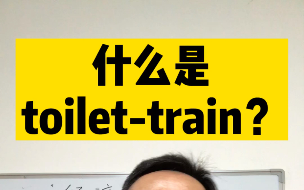 什么是toilettrain?来自经济学人杂志.哔哩哔哩bilibili