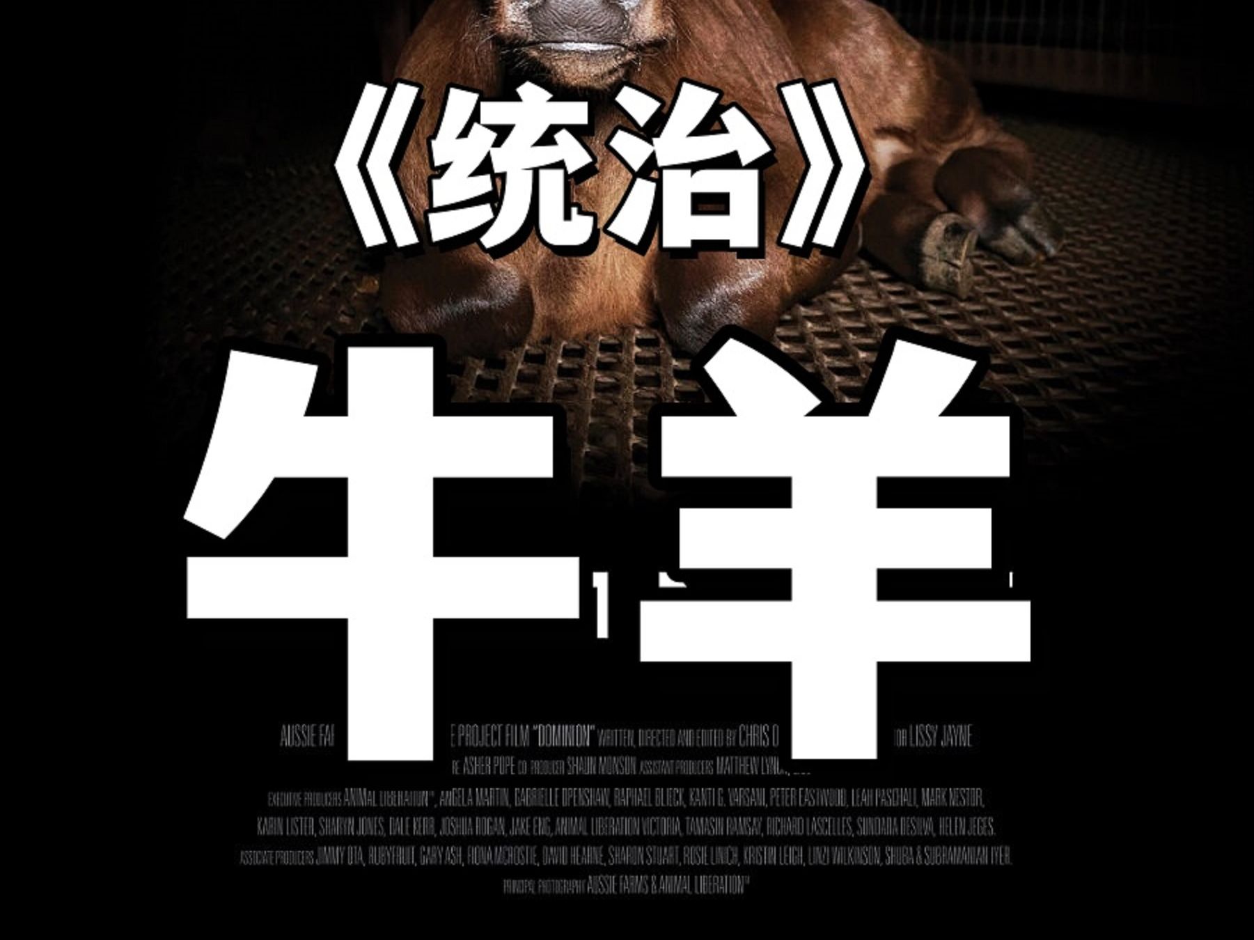 澳大利亚纪录片《统治》牛,羊,驼