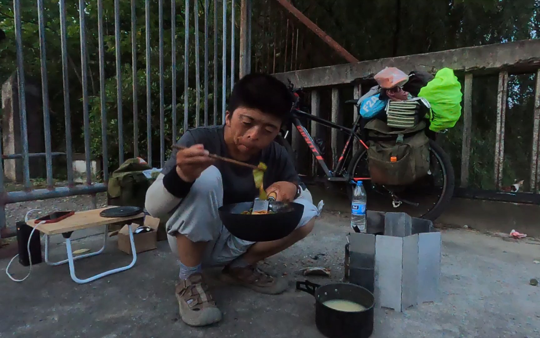 逛上海最后的渔村,露营地两只小奶猫,和诡异的小屋子亮着灯哔哩哔哩bilibili