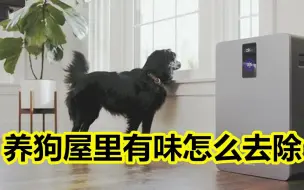 Télécharger la video: 养狗时屋里味道怎么去除？新手铲屎官的必修课