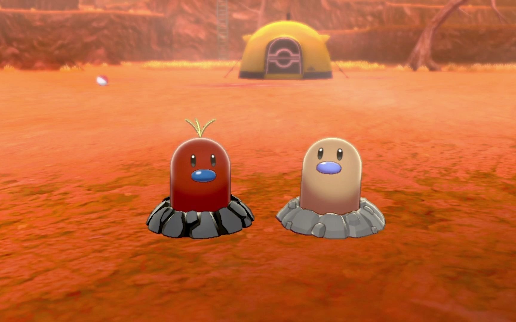 地鼠&阿罗拉样子的地鼠