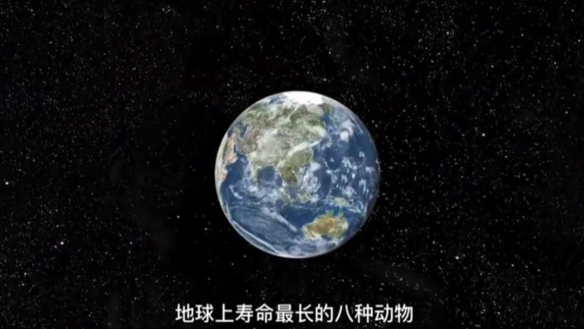 地球上寿命最长的八种动物.哔哩哔哩bilibili