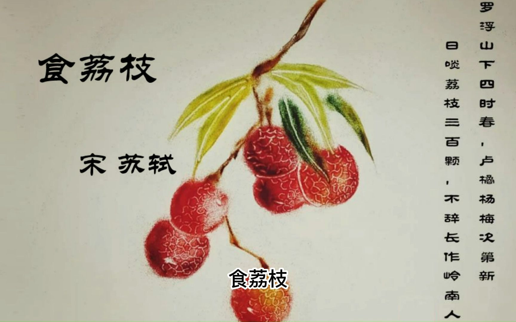 古诗词 食荔枝 【宋】苏轼 原汁原味的童声配音 译文翻译,特别适合