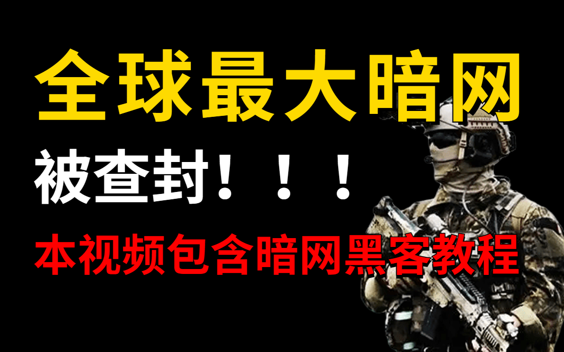 全球最大暗网平台被查封,警察可不是吃素的!(本视频提供网络安全网站渗透技术)哔哩哔哩bilibili