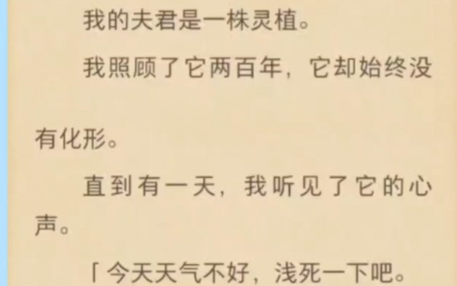 我的夫君是一株灵植.我照顾了它两百年,它却始终没有化形.直到有一天,我听见了它的心声.今天天气不好,浅死一下吧.起风了,她没把我拿回室内,...