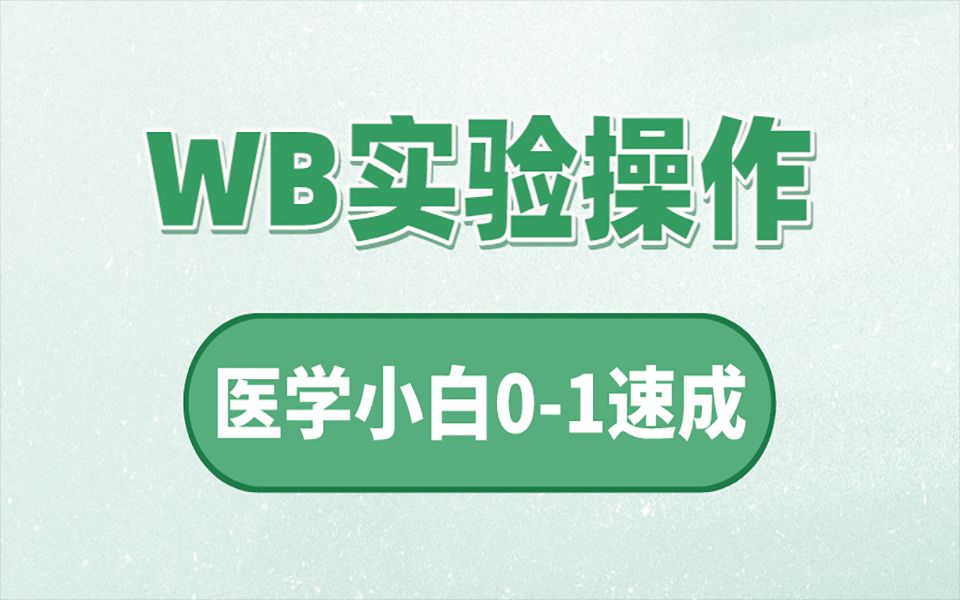 Western Blotting结果分析教程,实验操作哔哩哔哩bilibili