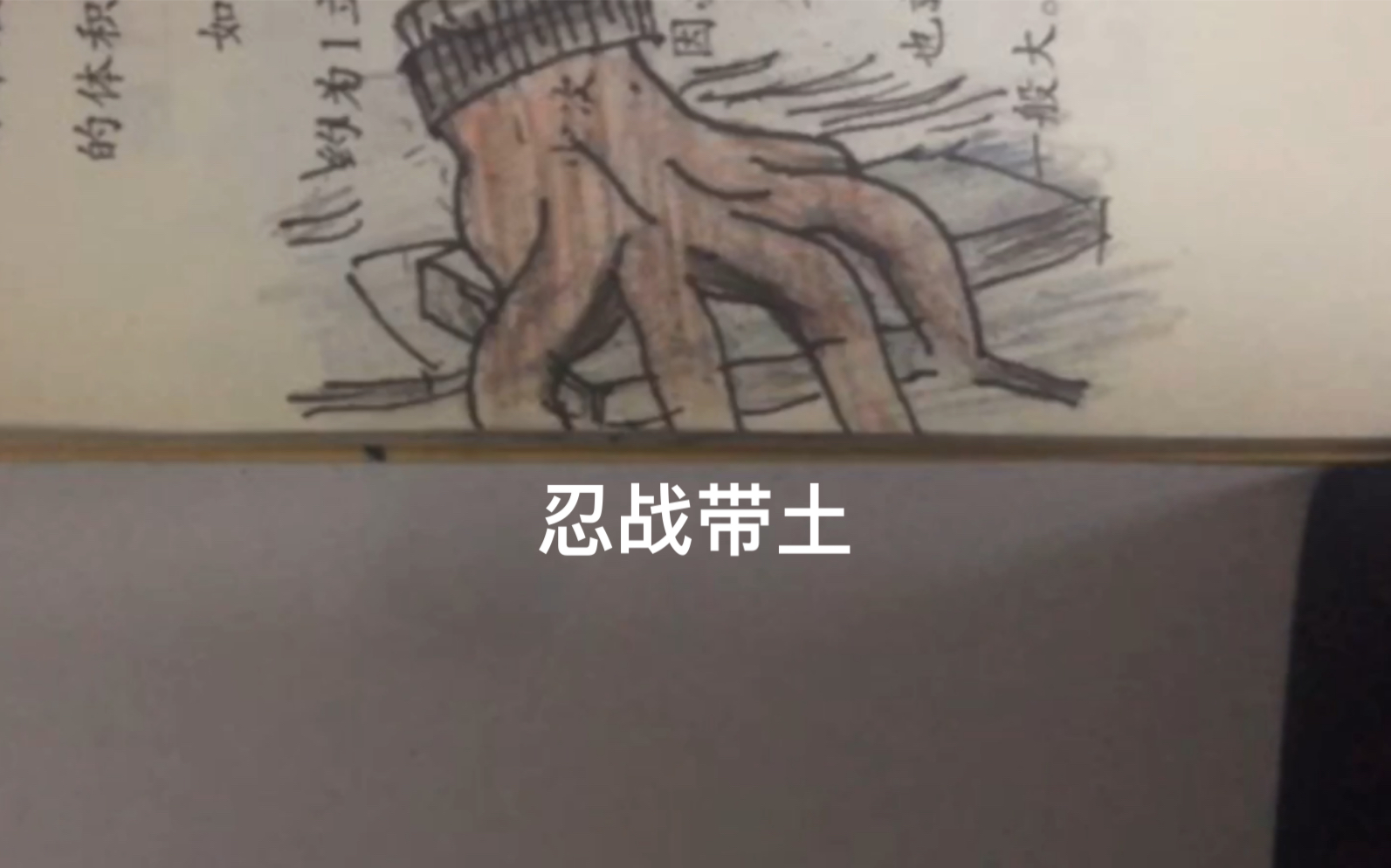 【手翻画】忍战带土