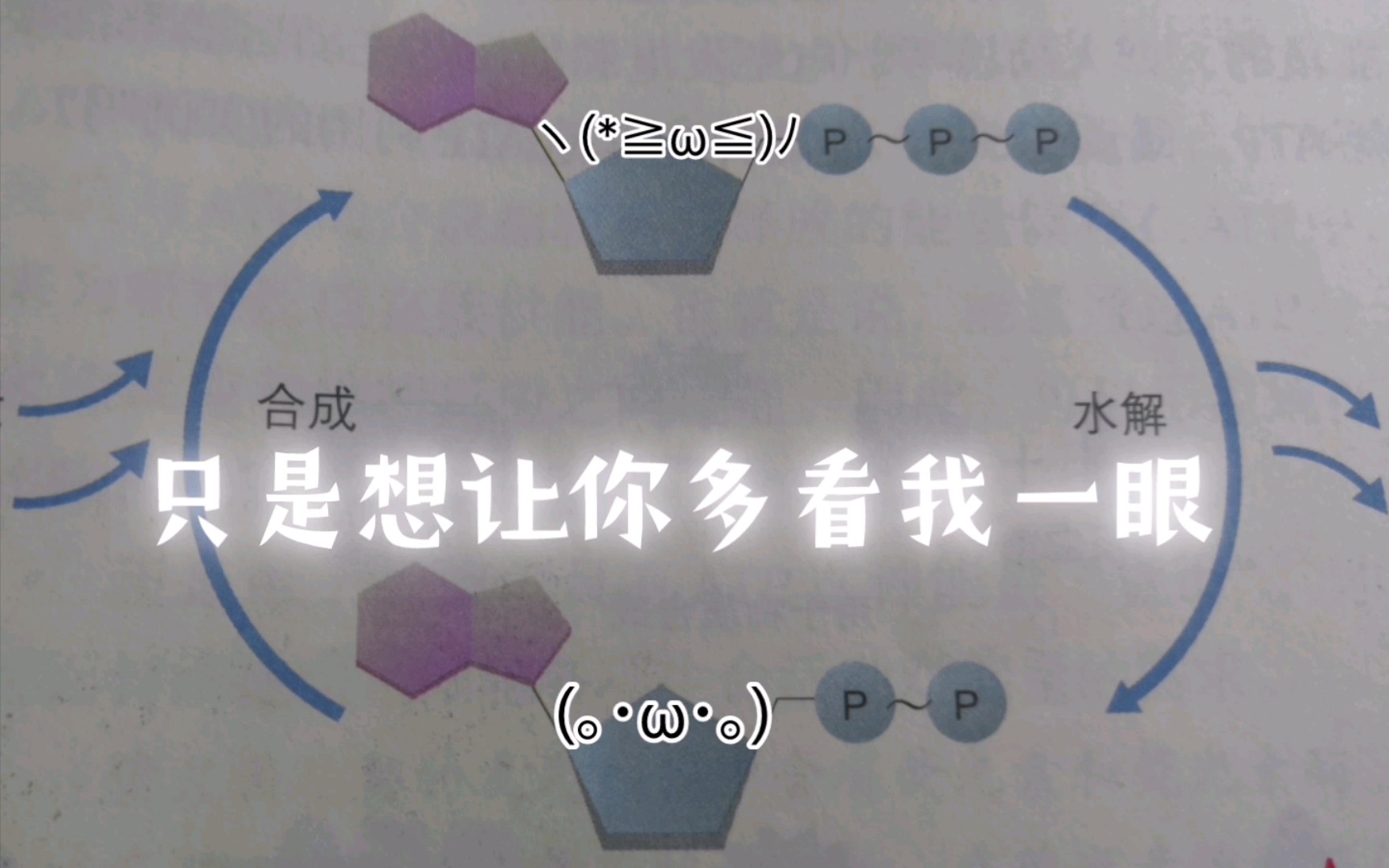 起猛了,看见ATP和ADP在谈哔哩哔哩bilibili