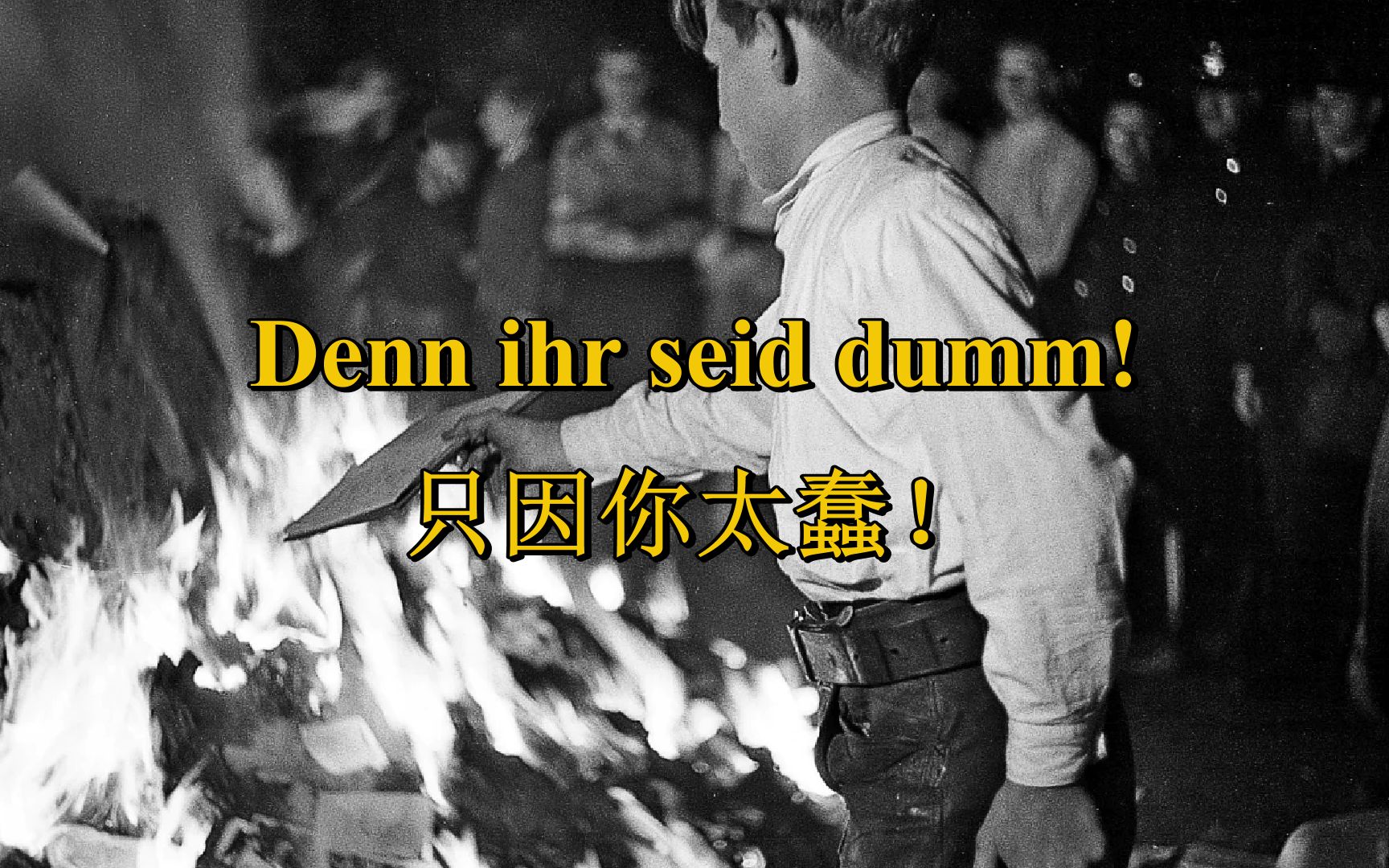 [德国文学/反法西斯]只因你太蠢!Denn ihr seid dumm!哔哩哔哩bilibili