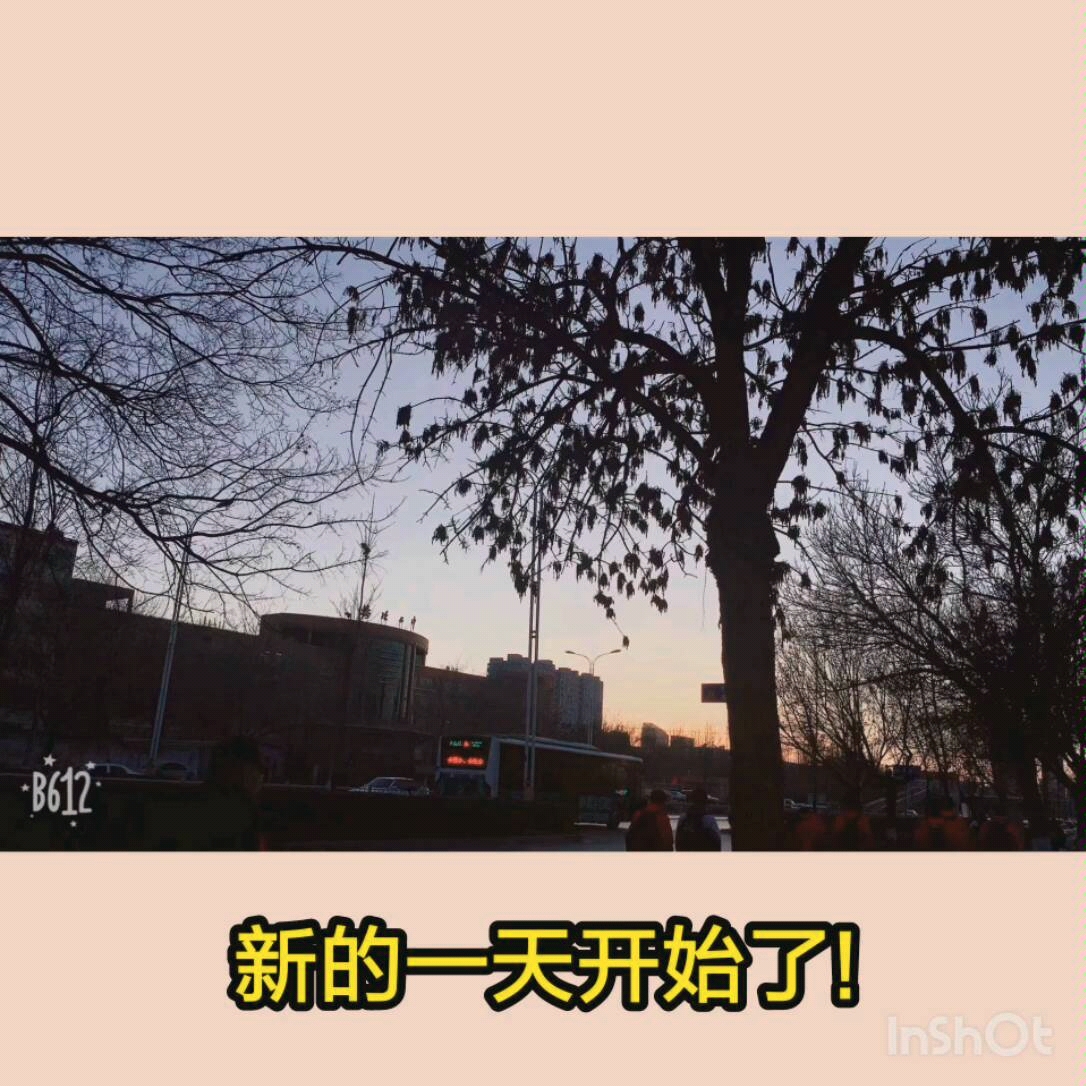 榆次二中501班哔哩哔哩bilibili