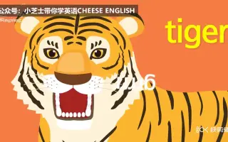 动物英文名称 搜索结果 哔哩哔哩 Bilibili
