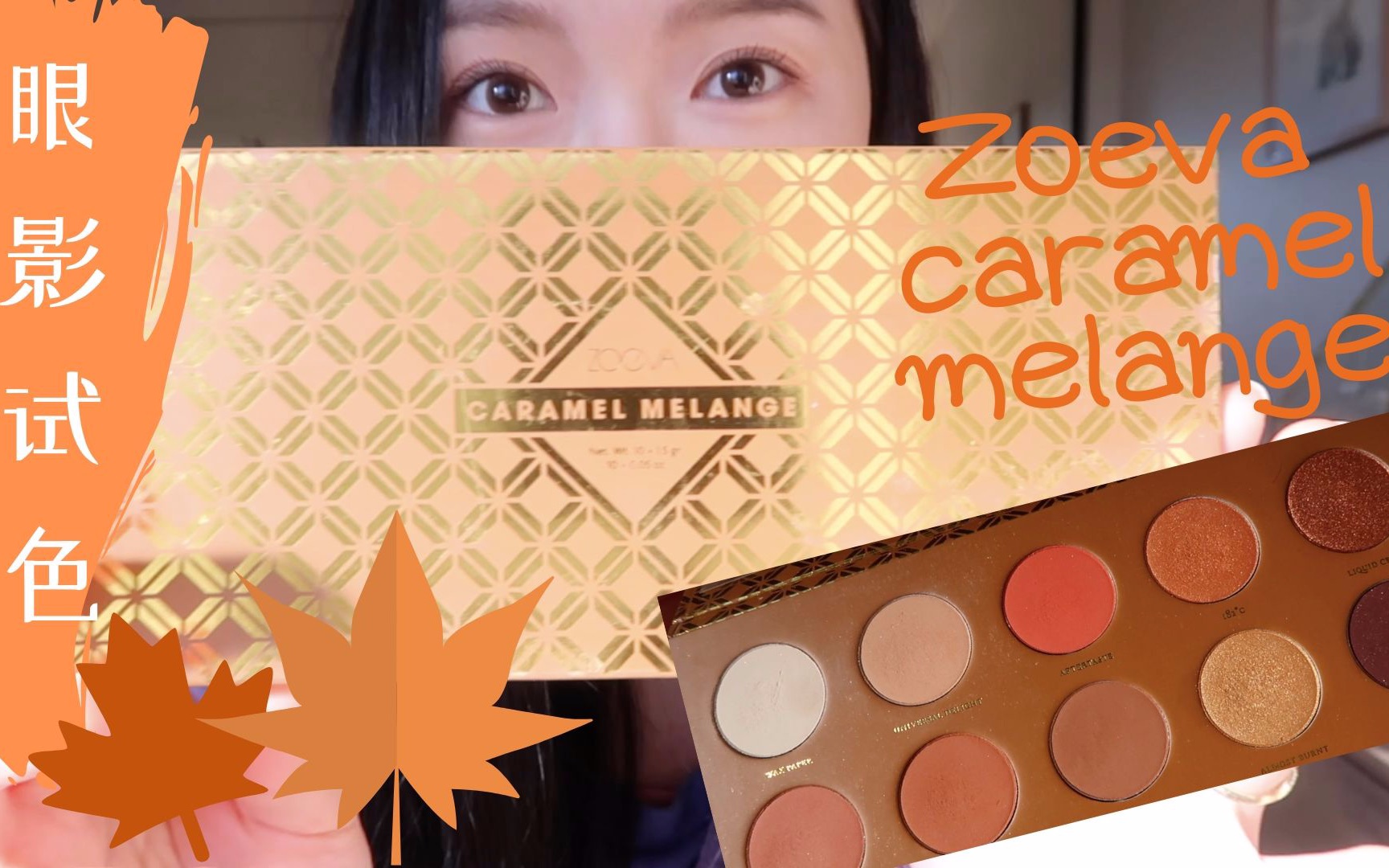 ZOEVA Caramel Melange测评+试色|REVIEW+SWATCHES!哔哩哔哩bilibili