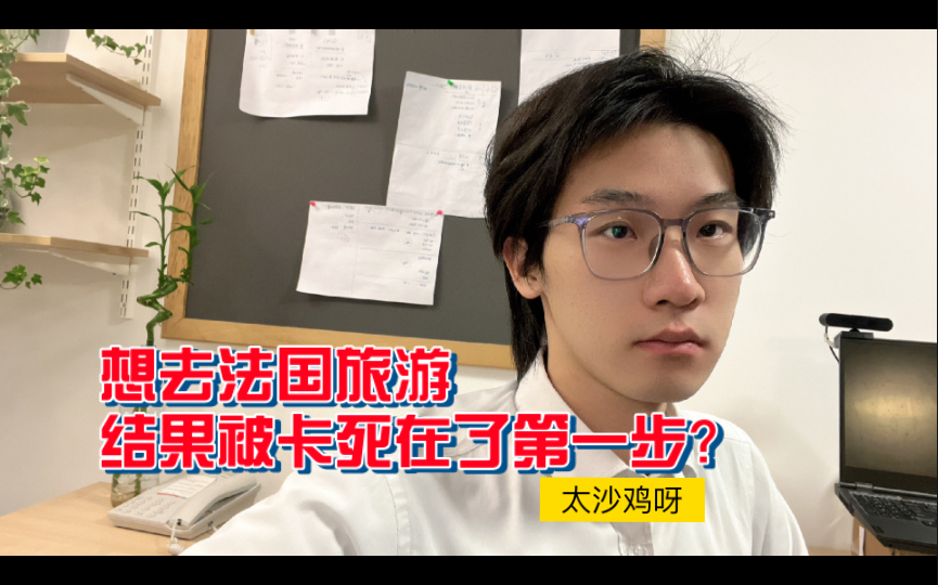 如果法国签证办不下来,一定要从法国身上找原因!!!哔哩哔哩bilibili