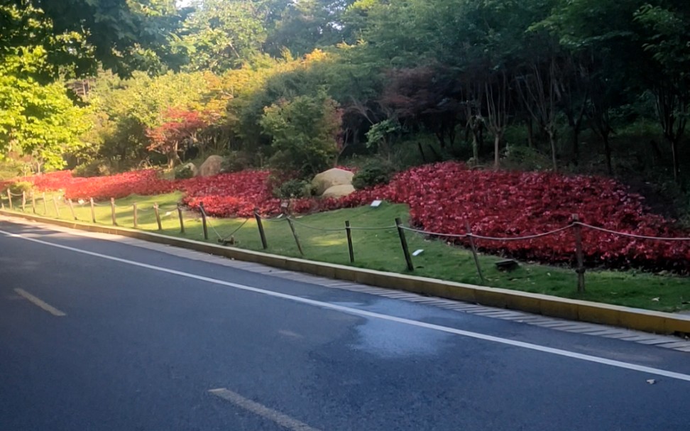 [图]庐山西湖景色