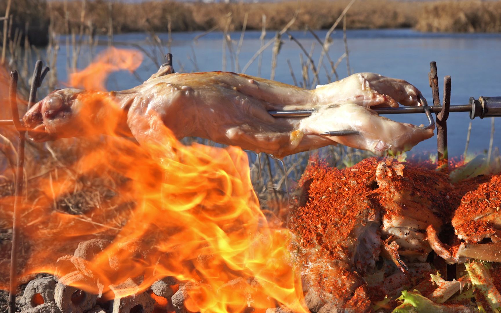 野外烤只兔子,撒上一把辣椒,胖哥吃了一整只_哔哩哔哩 (゜-゜)つロ