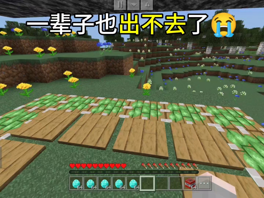 一辈子也出不去了