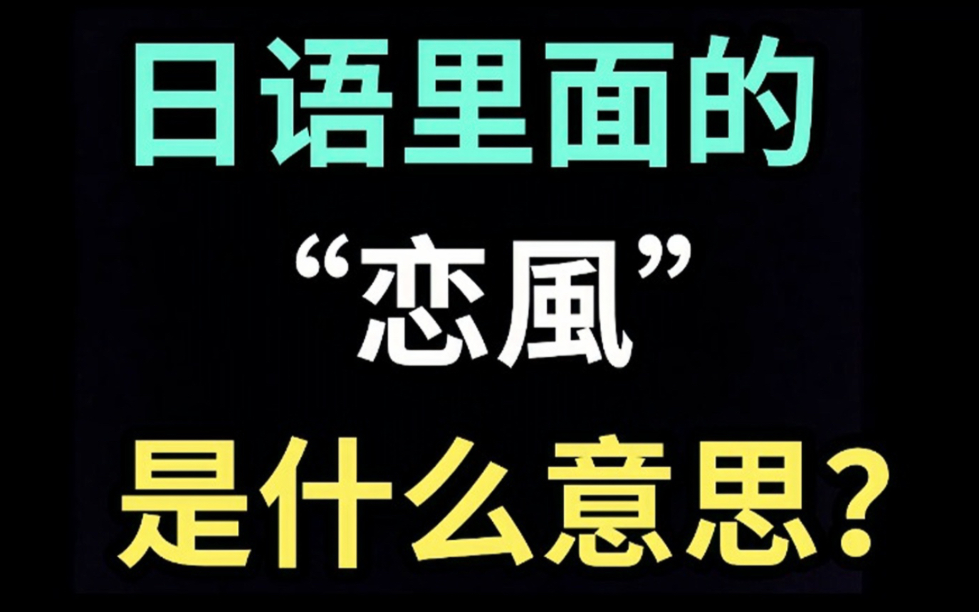 日语里的“恋风”是什么意思?【每天一个生草日语】哔哩哔哩bilibili