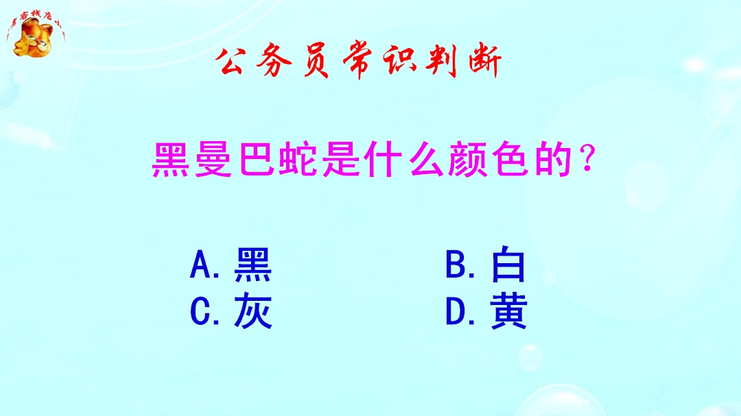 公务员常识判断,黑曼巴蛇是什么颜色的?错得一塌糊涂哔哩哔哩bilibili