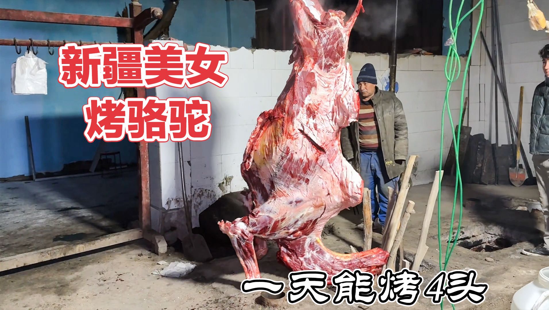 400斤的大骆驼先腌后烤,纯肉130一公斤,新疆和田果然馕坑烤万物哔哩哔哩bilibili