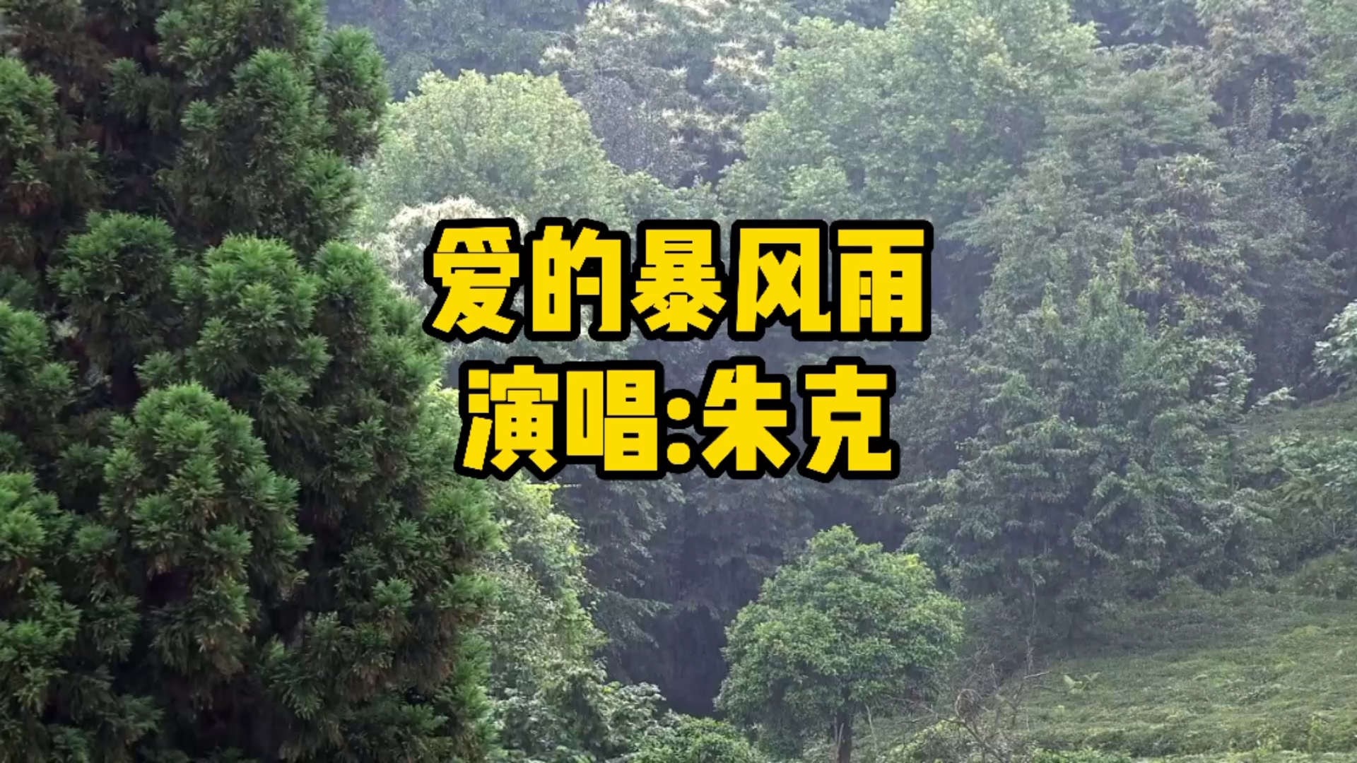 [图]朱克一首经典歌曲《爱的暴风雨》多少相思无情雨，滴滴洒落在心底