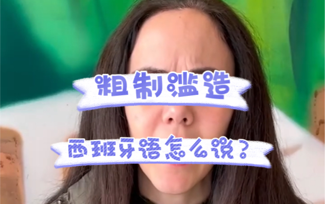 粗制滥造!干活干的很差劲?西班牙语怎么说?哔哩哔哩bilibili