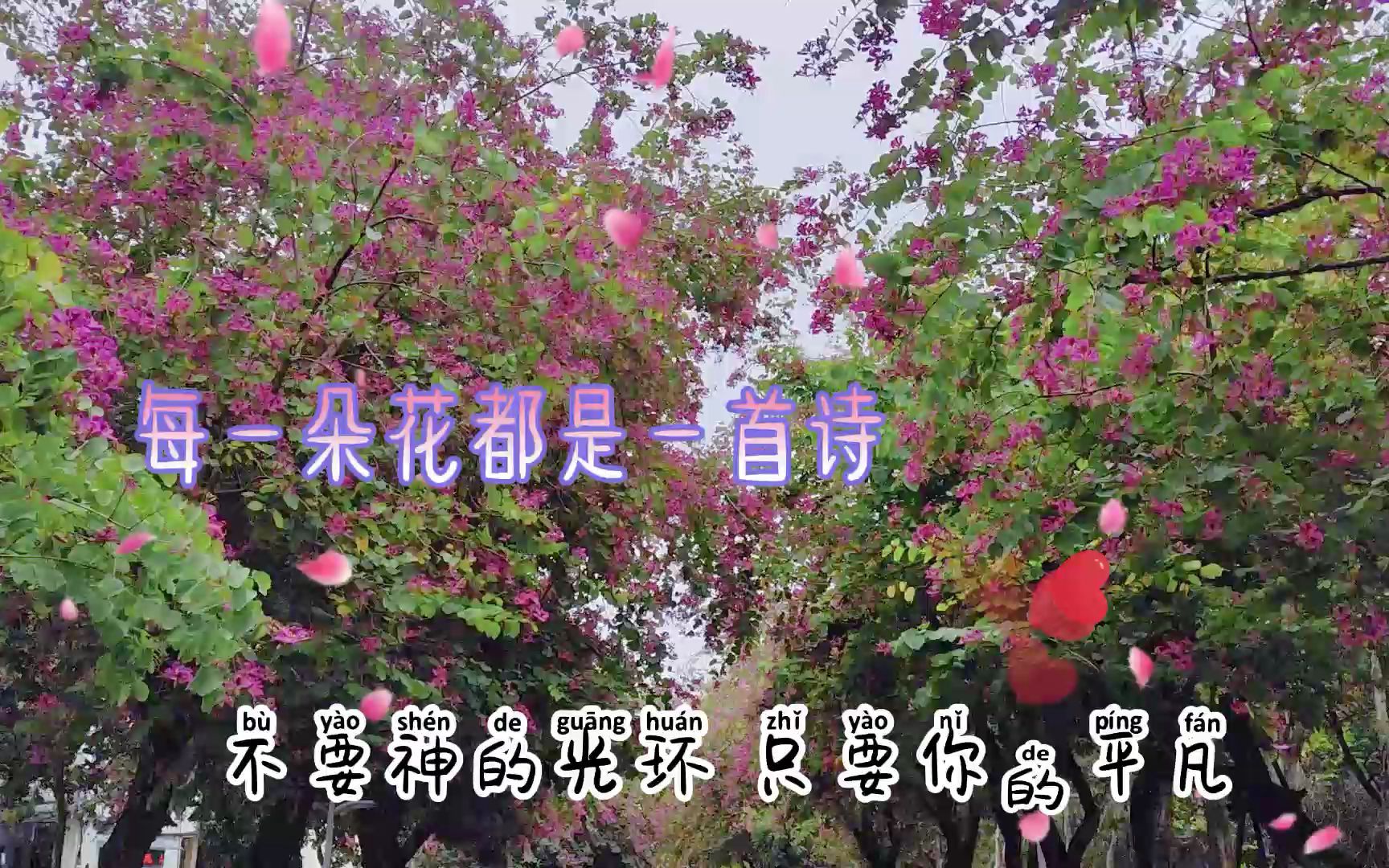 [图]紫荆花的礼赞，生命是一树一树的花开，让我们热爱生命，努力地绽放！