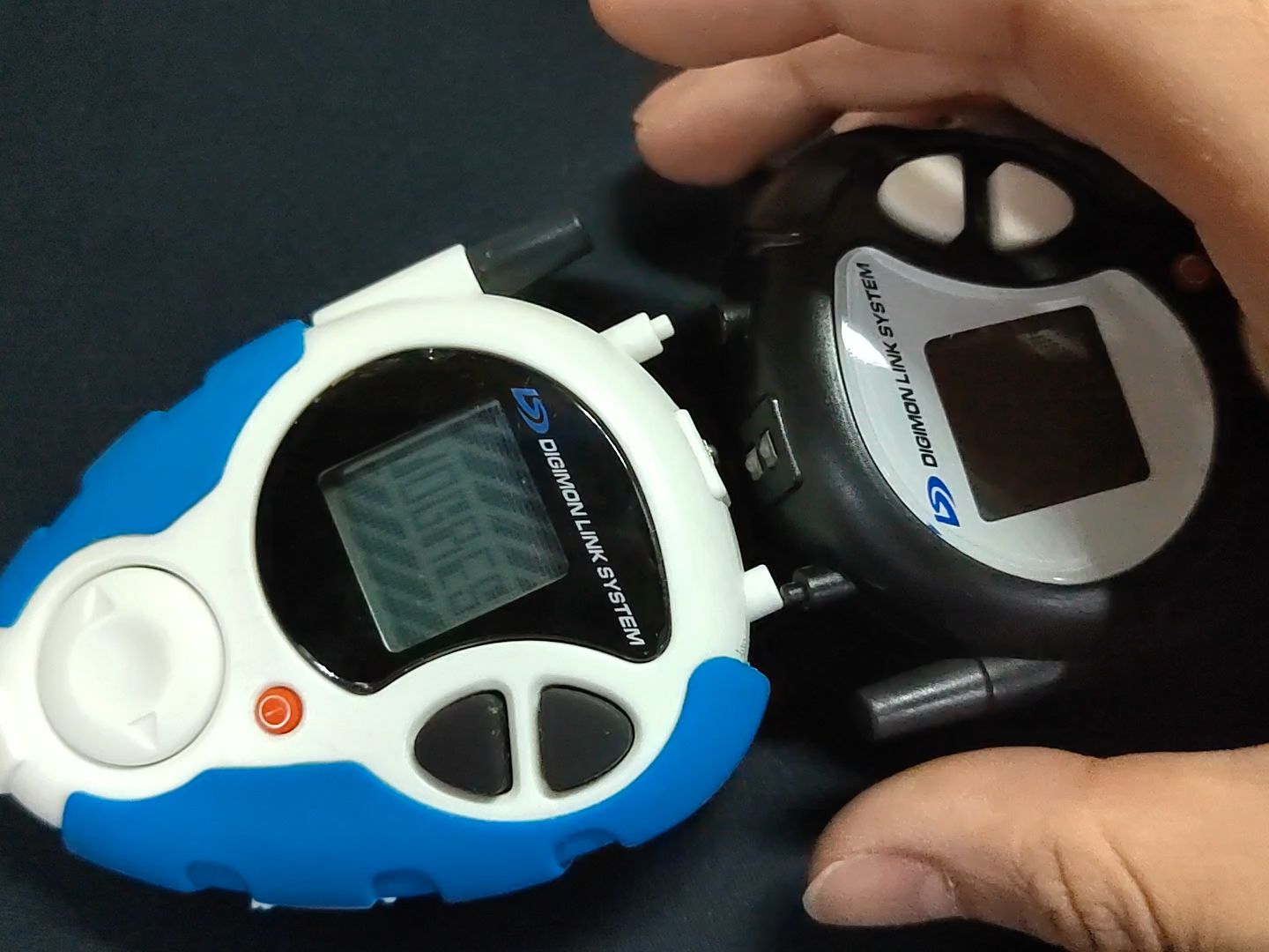 日版旧d3暴龙机合体进化展示