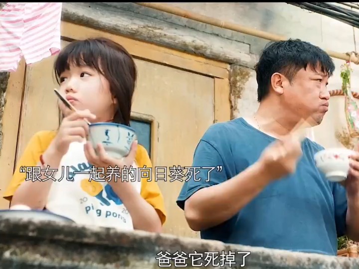 万能爸爸哔哩哔哩bilibili